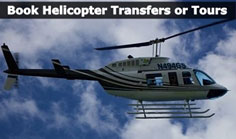 (image for) Jamaica Transportation Services