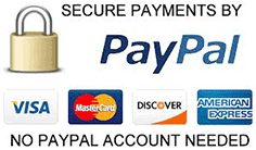 (image for) Pay Transportation Tours PayPal