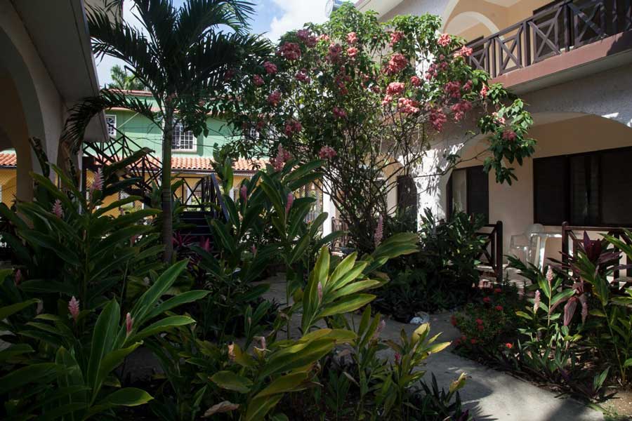 (image for) Pure Garden Resort Transportation from Montego Bay Airport